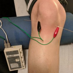 IMG_20190108_152531 IMG_20190108_152531